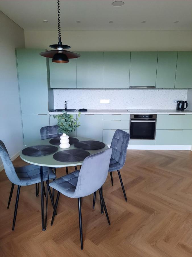 Ainiu Gatves Apartamentai Panevėžys エクステリア 写真